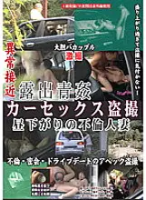 LHBB-098 Exposure Aokan Car Sex Voyeur