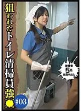 DG-071 Targeted Toilet Cleaning Staff #3