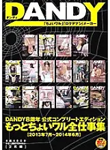 DANDY-395 DANDY 8th Anniversary Official Complete Edition More Little Wal All Work Collection