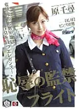 SHKD-280 Cabin Attendant Shameful Confinement Flight Chihiro Hara